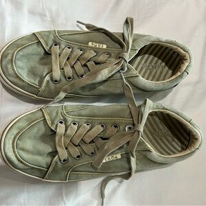 Taos Star Lace up Shoes